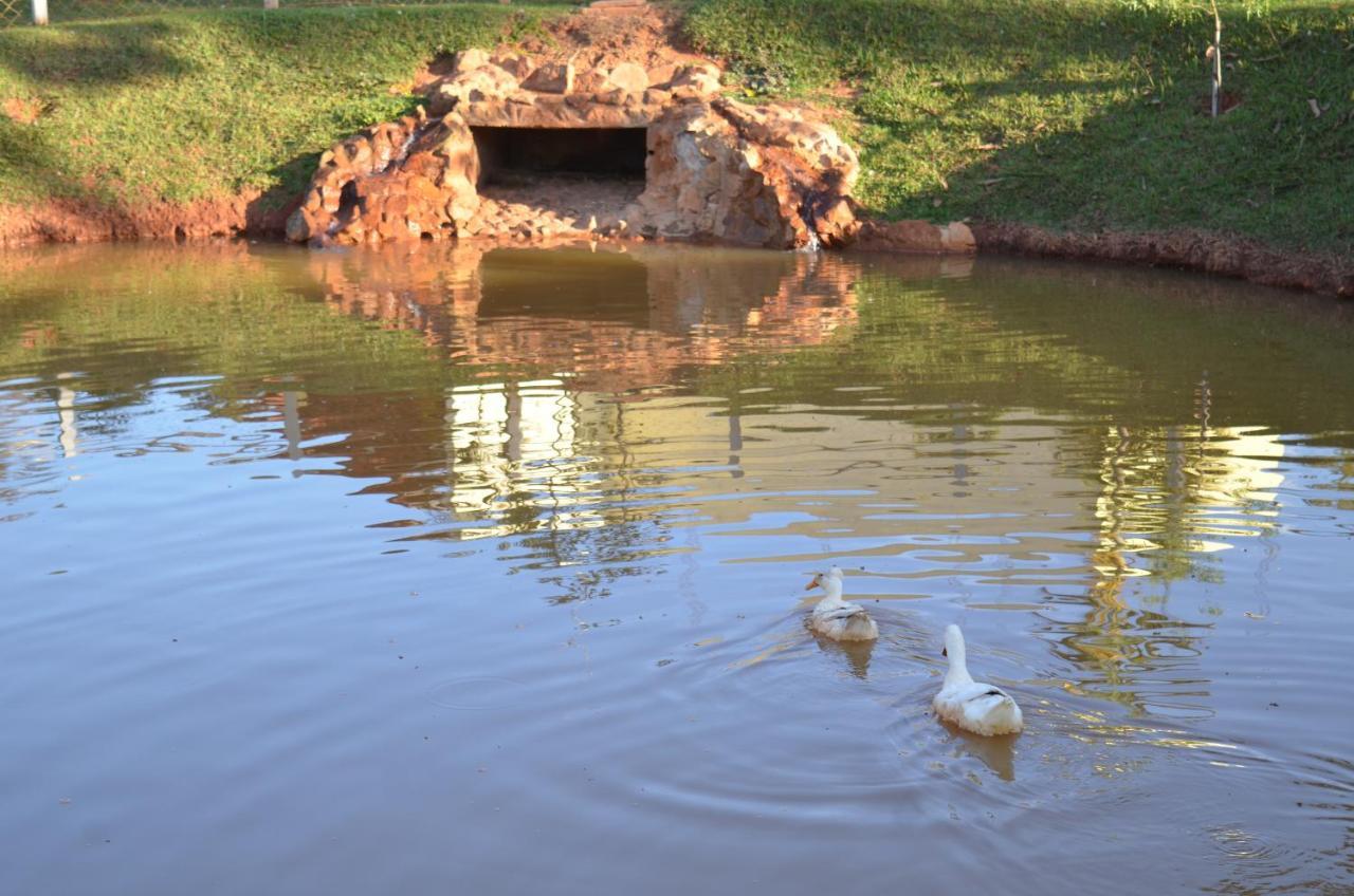 Pousada Coqueiro Verde Minas Gerais Mateus Leme Extérieur photo
